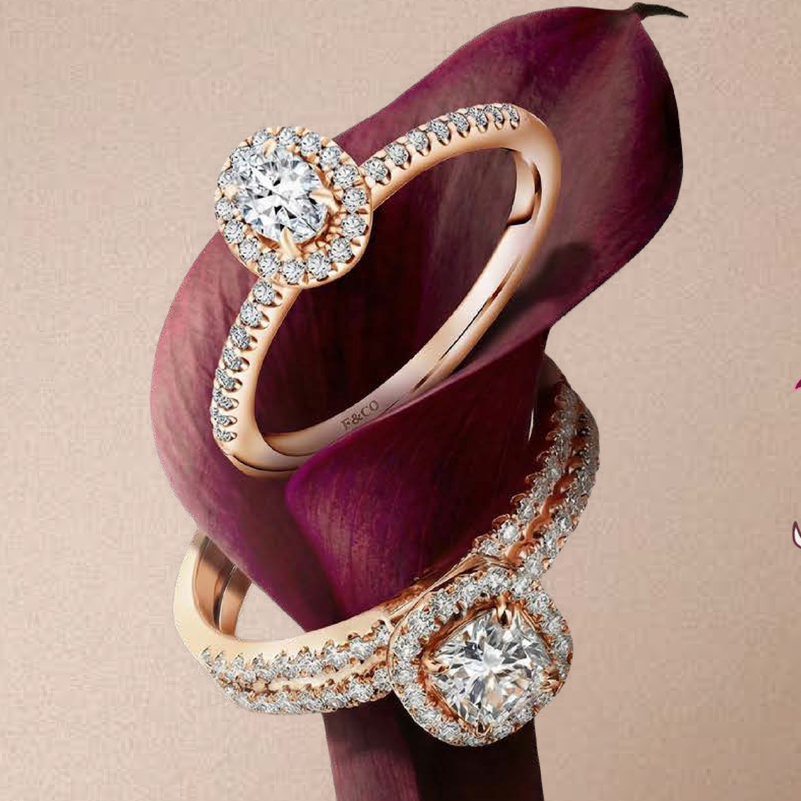Promise Ring Terbaru dengan Fancy Natural Diamond yang Bisa di Lihat Langsung di Exhibition