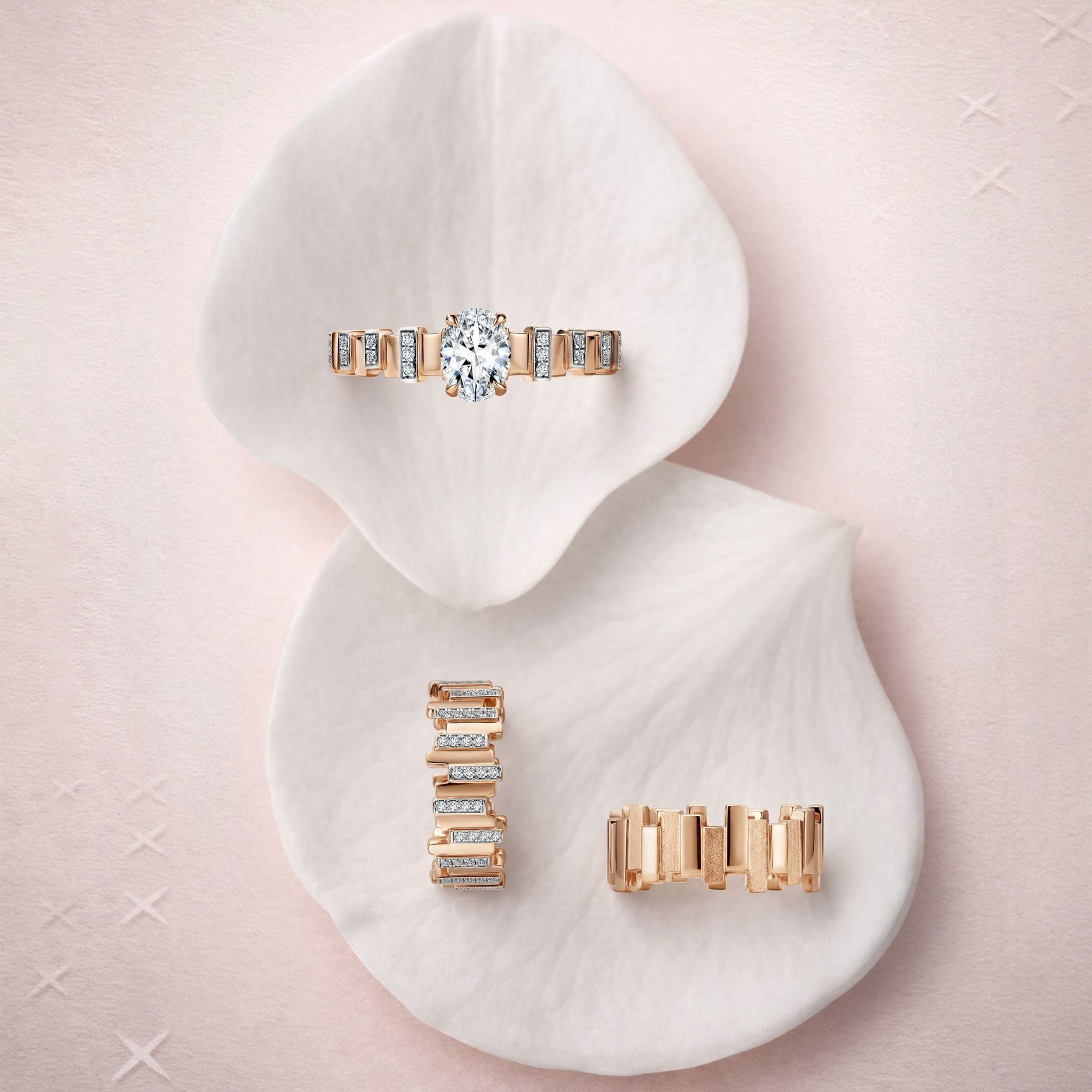 When You Know, You Know: Celebrating the Journey of Love with Frank & co.