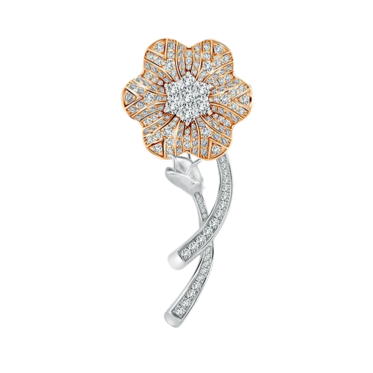 Frank & co. Water Lily Collection