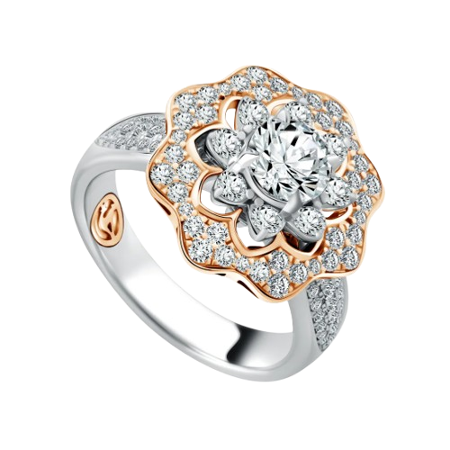 Koleksi Model Cincin Terbaru dari Water Lily Frank & co.