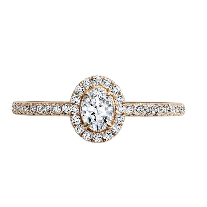 Temukan Harga Cincin Diamond Impian Anda di Exhibition Frank & co.