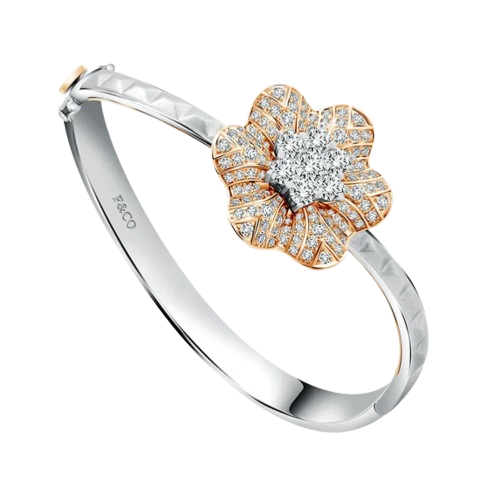 Saatnya Tampil Cantik dengan Bangle Elegan dari Frank & co.