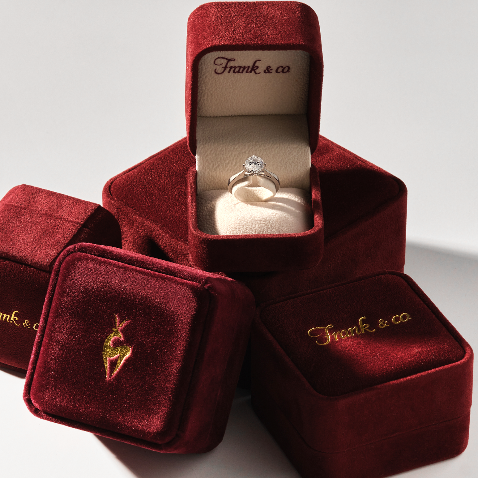 Frank Fire, Koleksi Terbaik dari Frank & co. Untuk Merayakan Anniversary Pernikahan