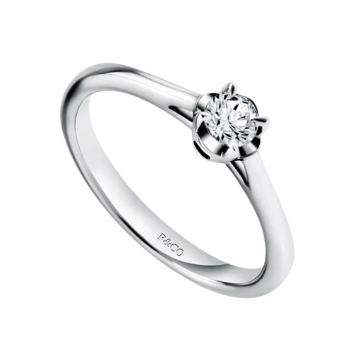 Saatnya Tampil Cantik dengan Cincin Wanita Klasik dari Frank & co.