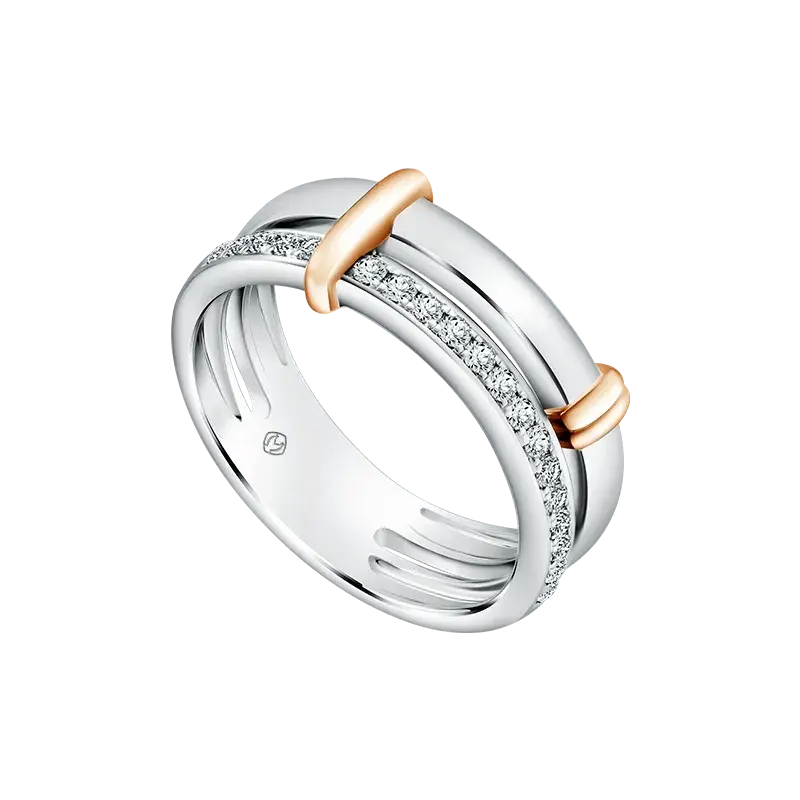 Auriel Ring sebagai Pilihan Kado Pernikahan untuk Pasangan