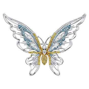 PDT-OL00241-A1x-edit