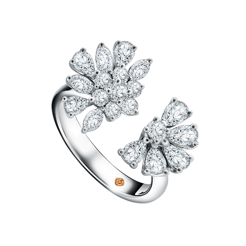 ring-kipas